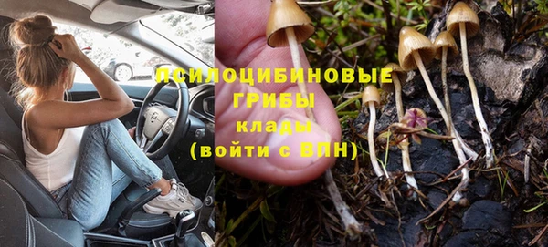 МДПВ Абаза