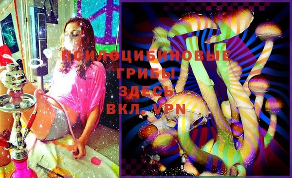 МДПВ Абаза